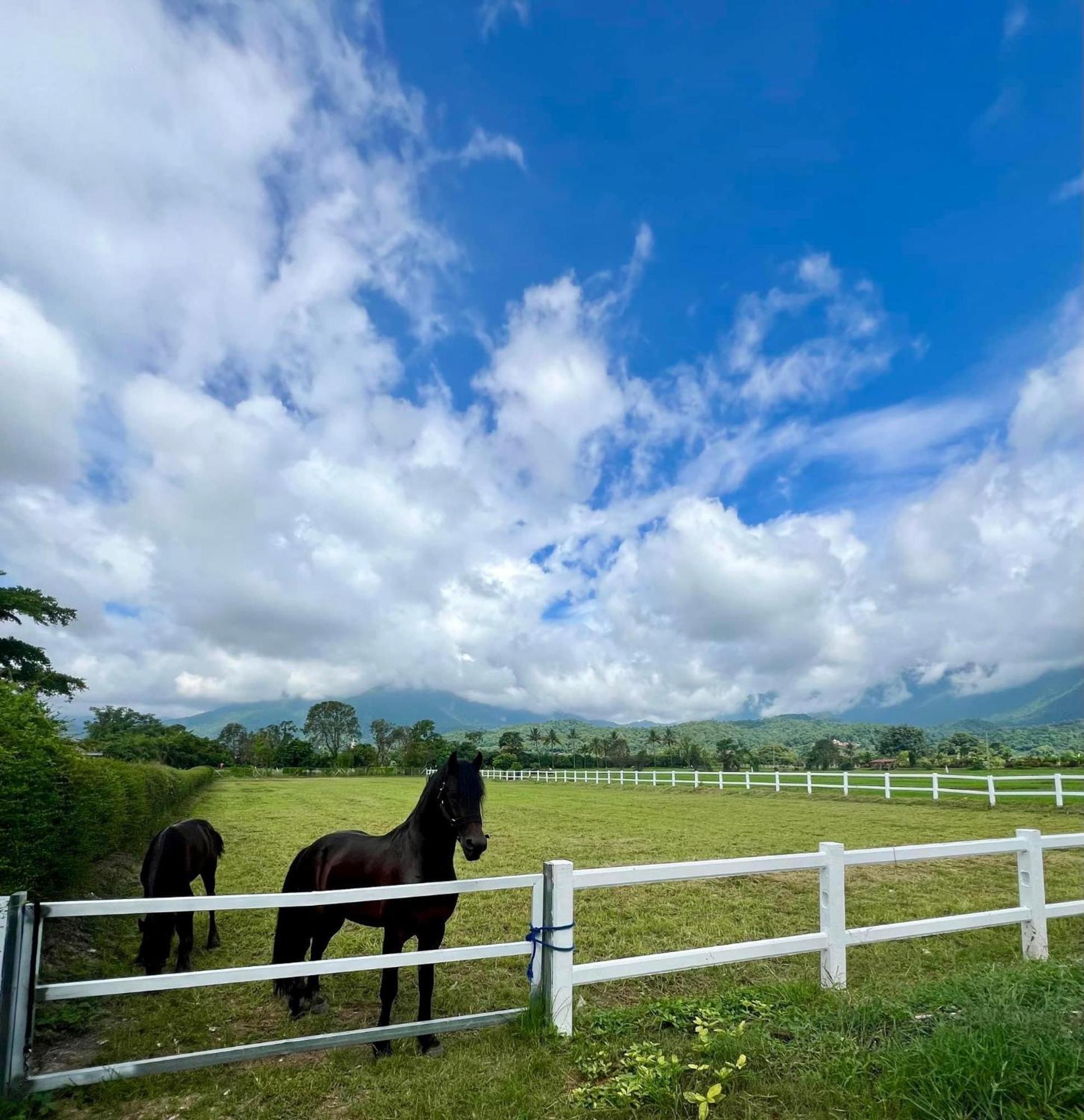 The Wes Village, Incl Free Breakfast & 100 Thb Food Gift Chiang Dao Bagian luar foto